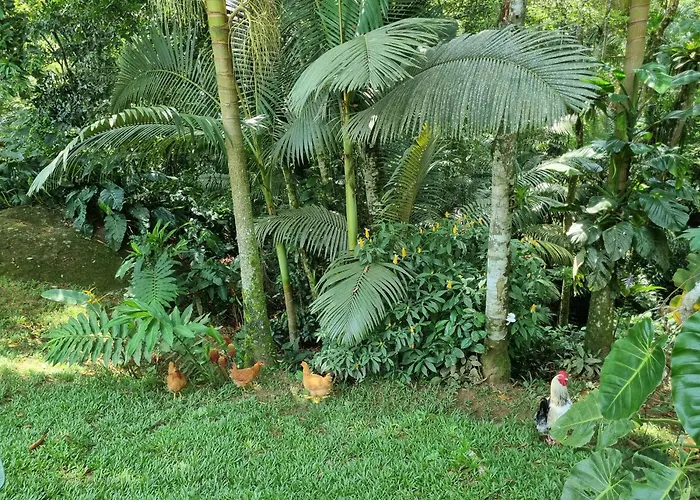 Casa Da Cachoeira Grauna Paraty