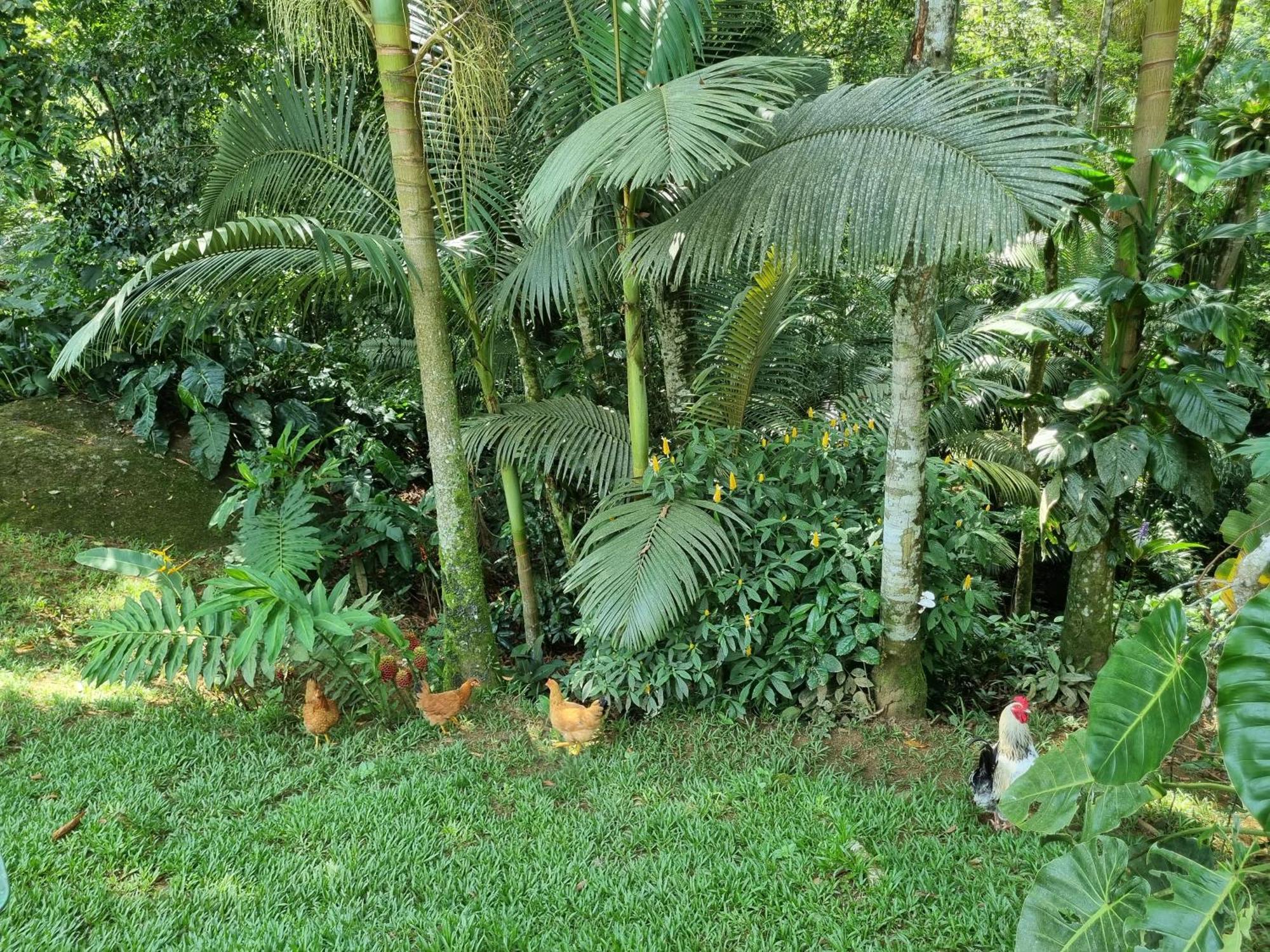 Casa Da Cachoeira Grauna * Paraty