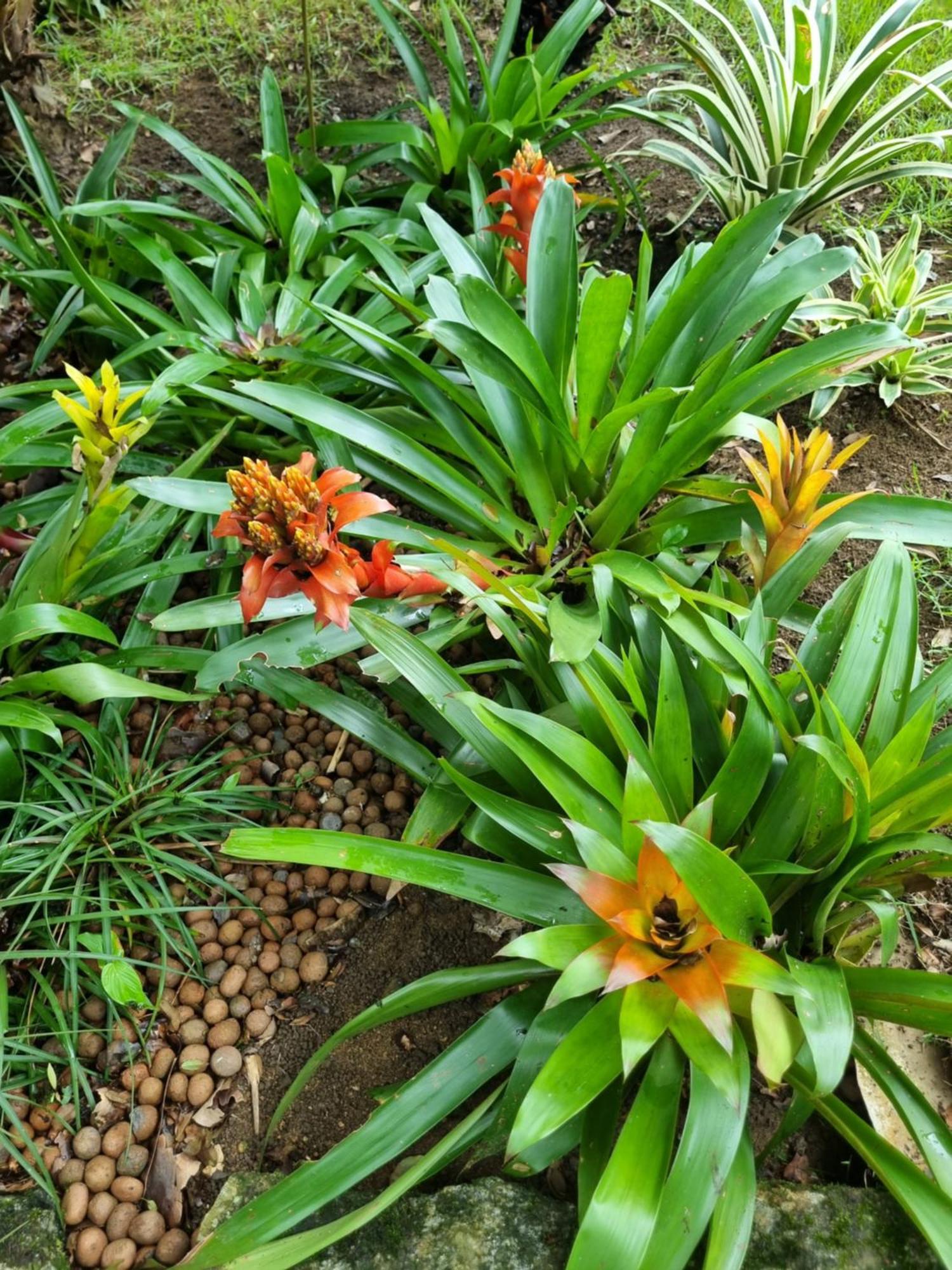 Casa Da Cachoeira Grauna Holiday home Paraty
